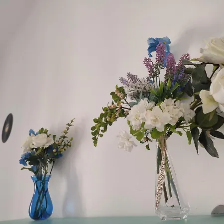 Flower 11 Apartment *