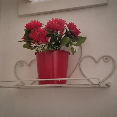 Flower 11
